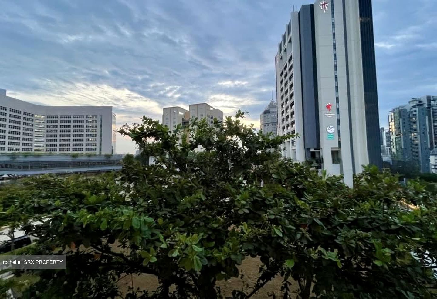 Pastoral View (D11), Apartment #558244091